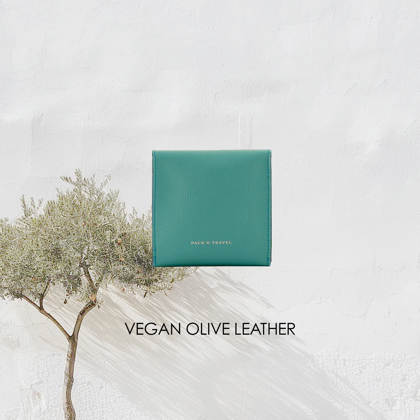 Single Watch Case Turquoise